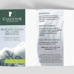 Curso: Neuropsicología del Cortex Prefontral