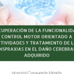 Recuperación de la funcionalidad: Control motor orientado a actividades y tratamiento de las dispraxias en el daño cerebral adquirido